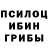 Псилоцибиновые грибы прущие грибы Altana Namrueva
