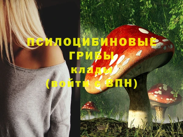 кокс Белокуриха