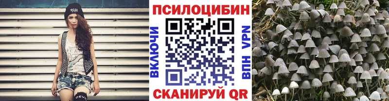 Купить где  Екатеринбург  Псилоцибиновые грибы Psilocybe 